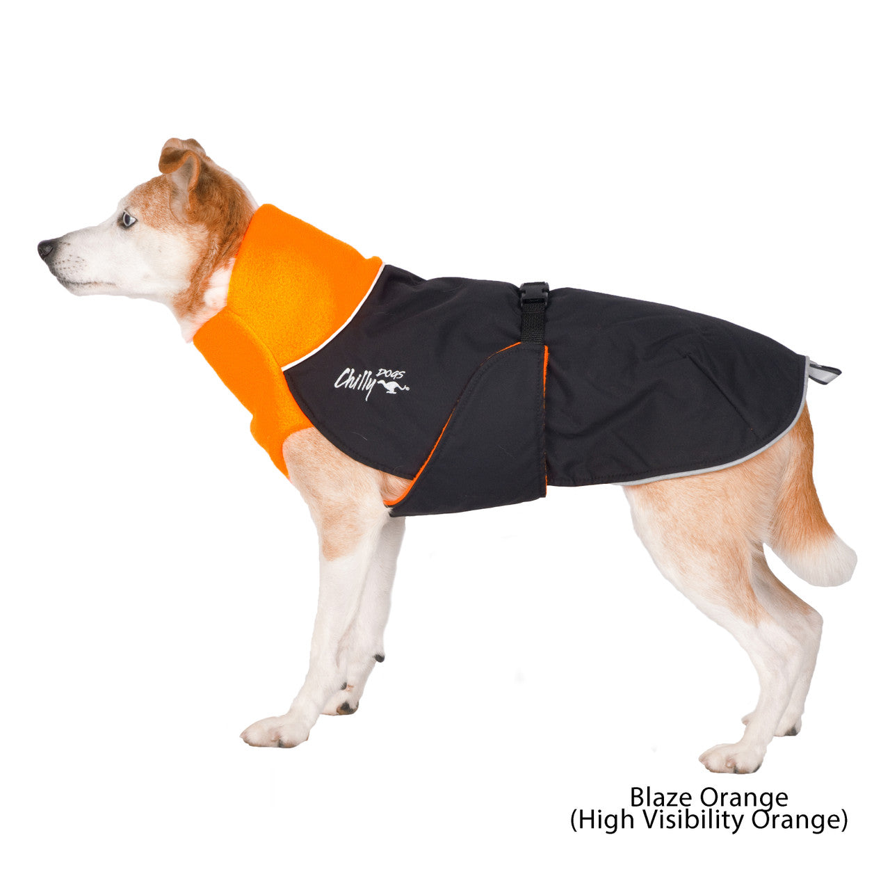 Mixed breed dog wearing the Great White North coat in Blaze Orange