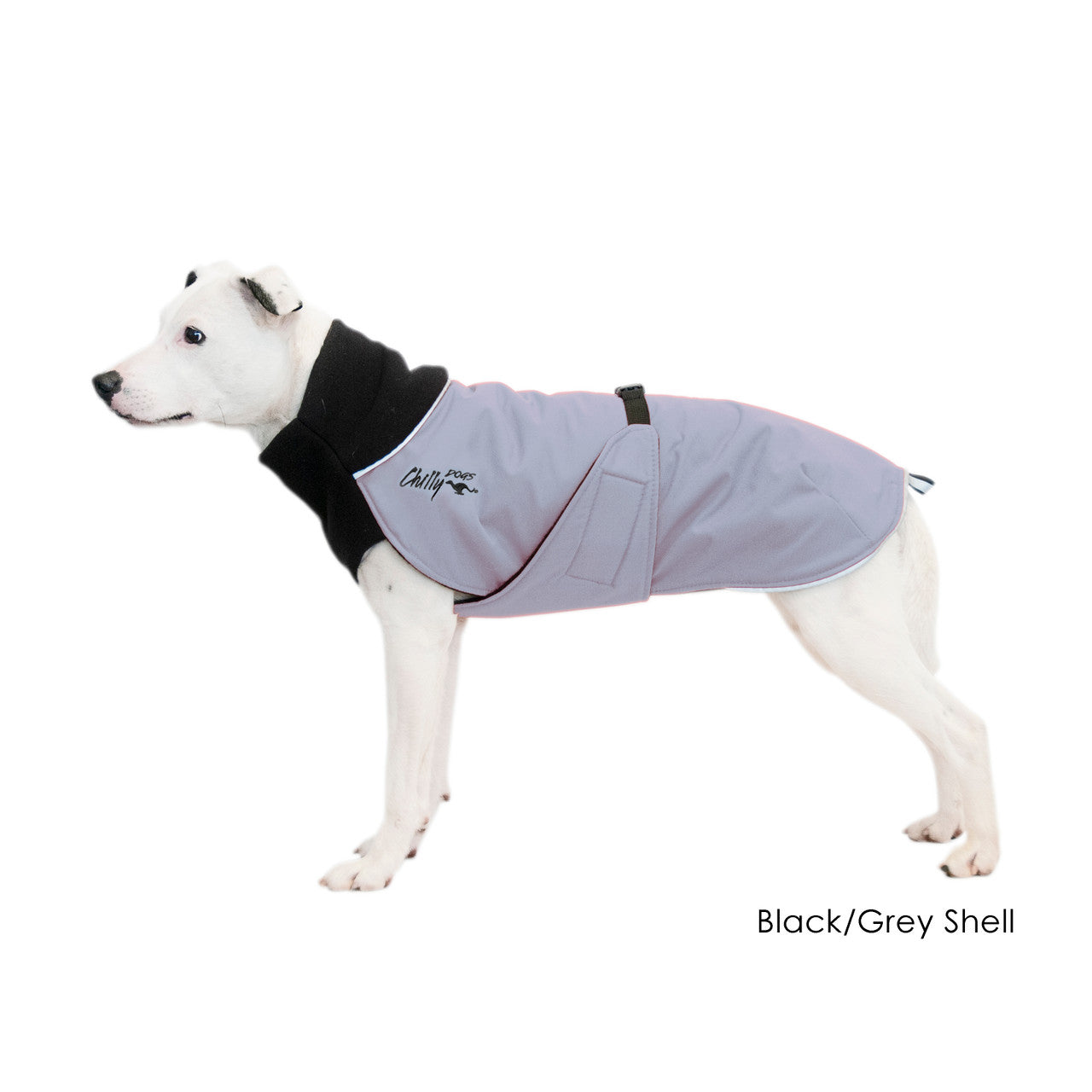 White mixed breed dog wearing the Great White North coat in Grey