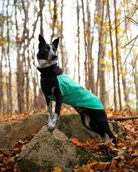 Thumbnail for Great White North coat in Jade worn by Spectre.