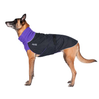 Thumbnail for Great White North Winter Dog Coat