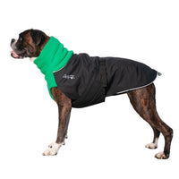 Thumbnail for Boxer wearing the Great White North coat in Classic Green