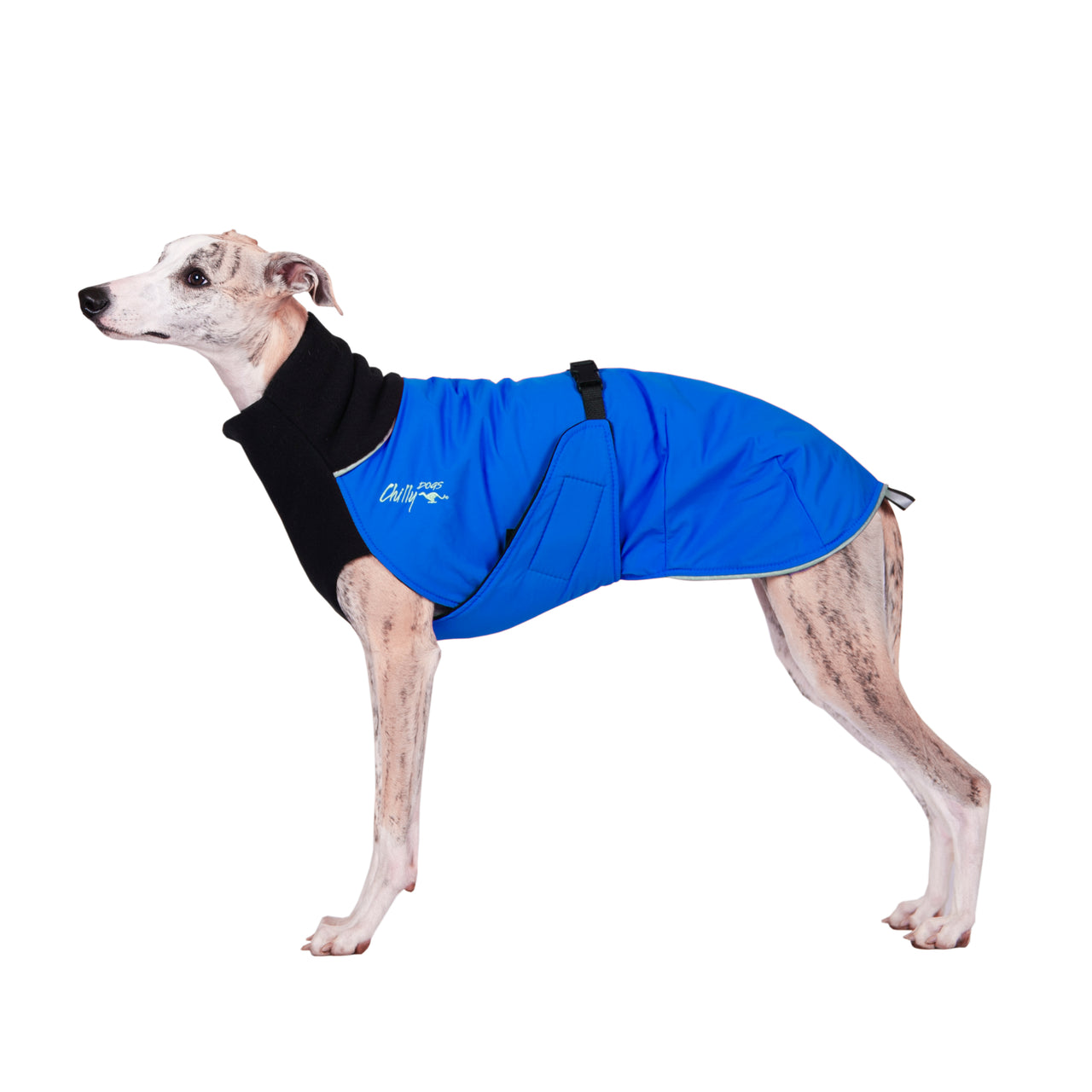 Great White North Winter Dog Coat