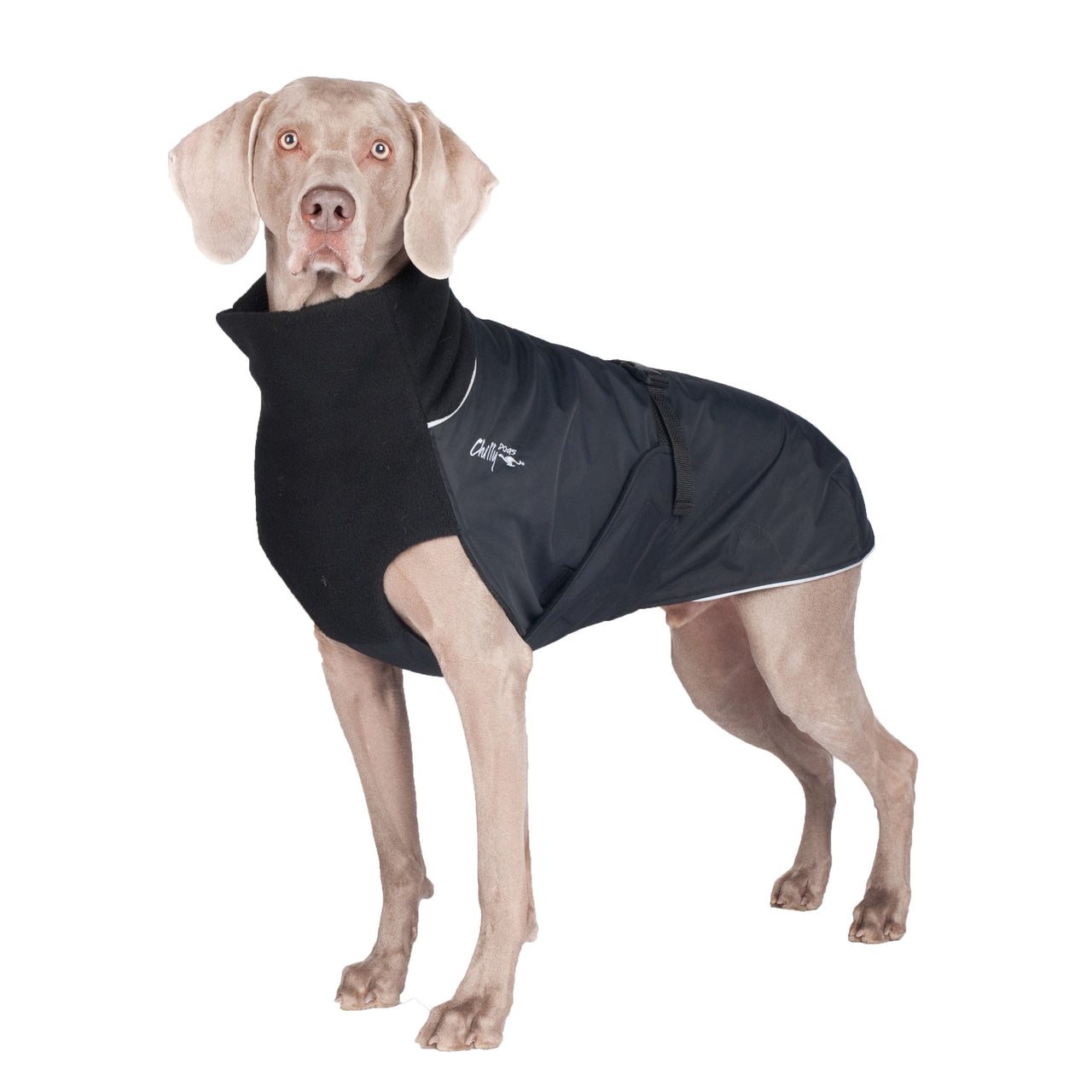 Great White North Winter Dog Coat